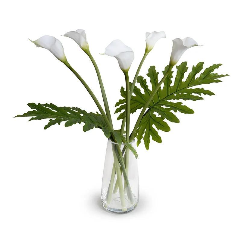 Calla Lily Stems & Philo Leaves in Glass 29"H