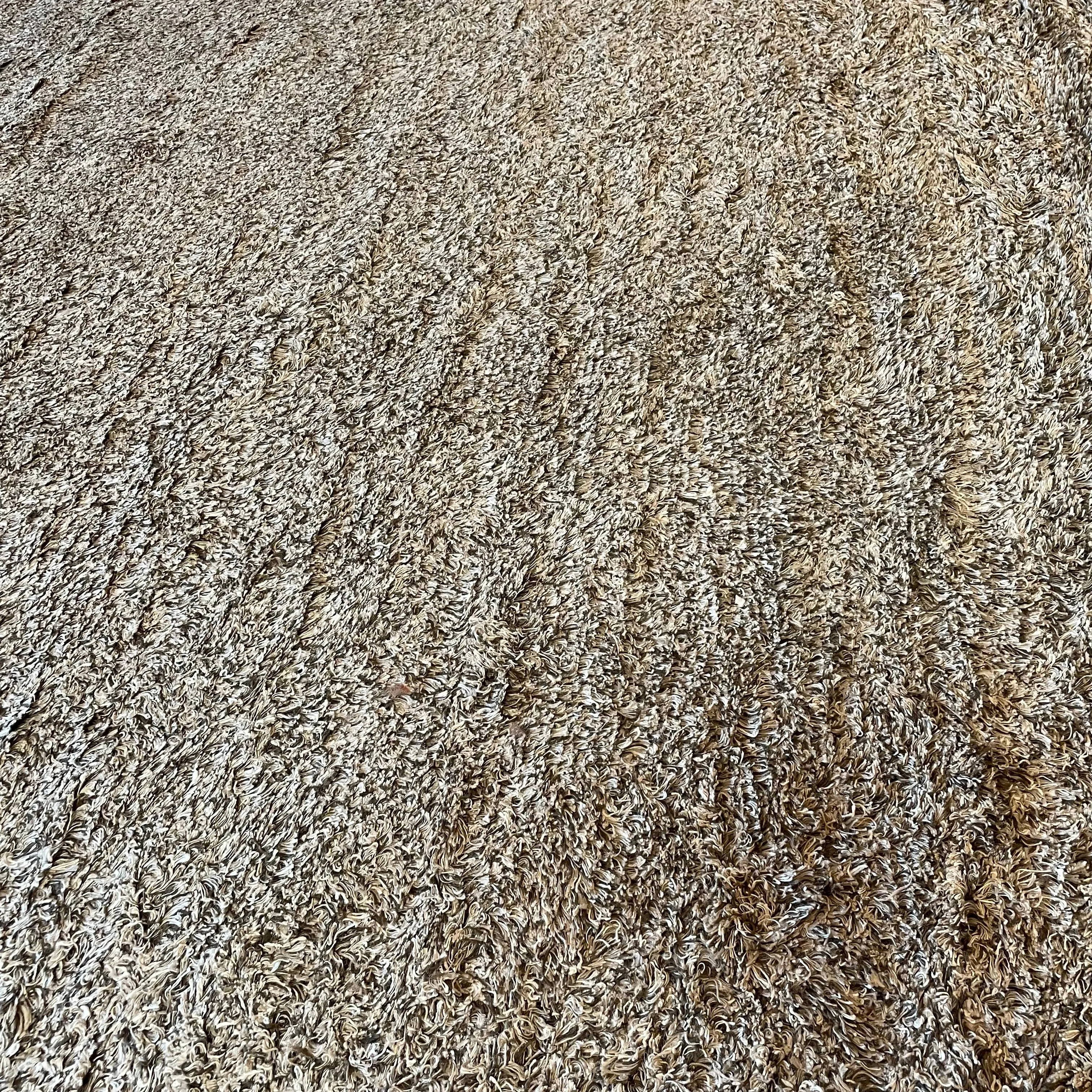 Delinear Linen Neutrals Shag 8'X10' Rug