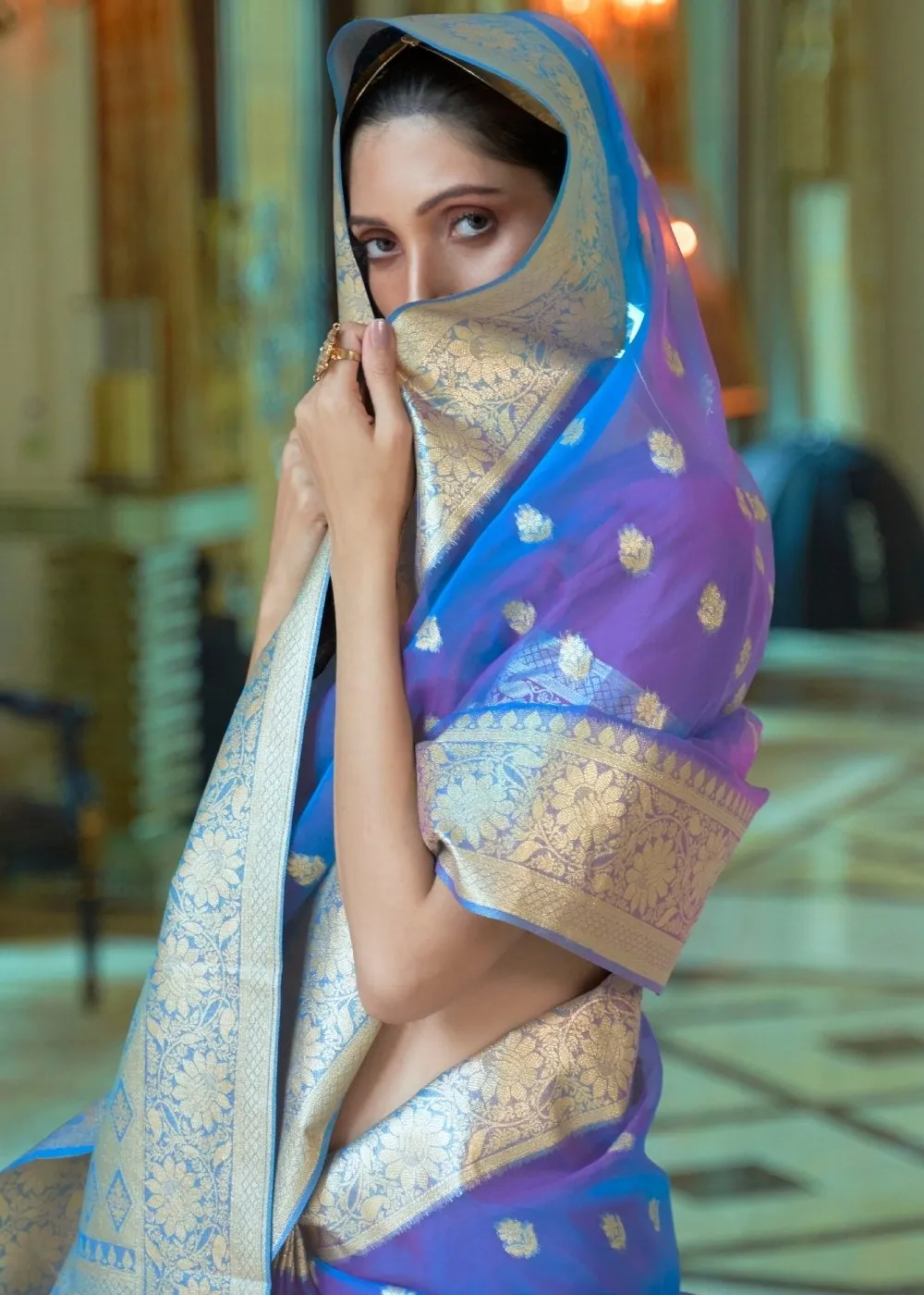 Egyptian Blue Zari Woven Organza Silk Saree