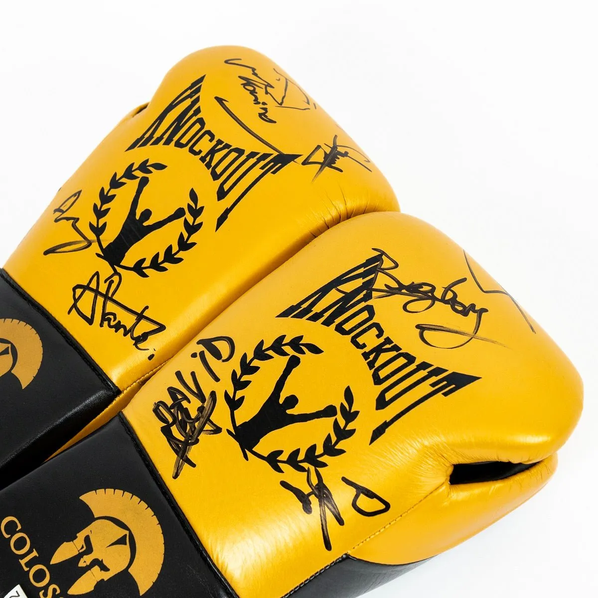 Knockout Boxing Gloves Signed by Colosseum Champions – Special Edition