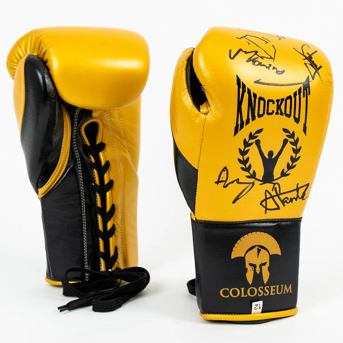 Knockout Boxing Gloves Signed by Colosseum Champions – Special Edition