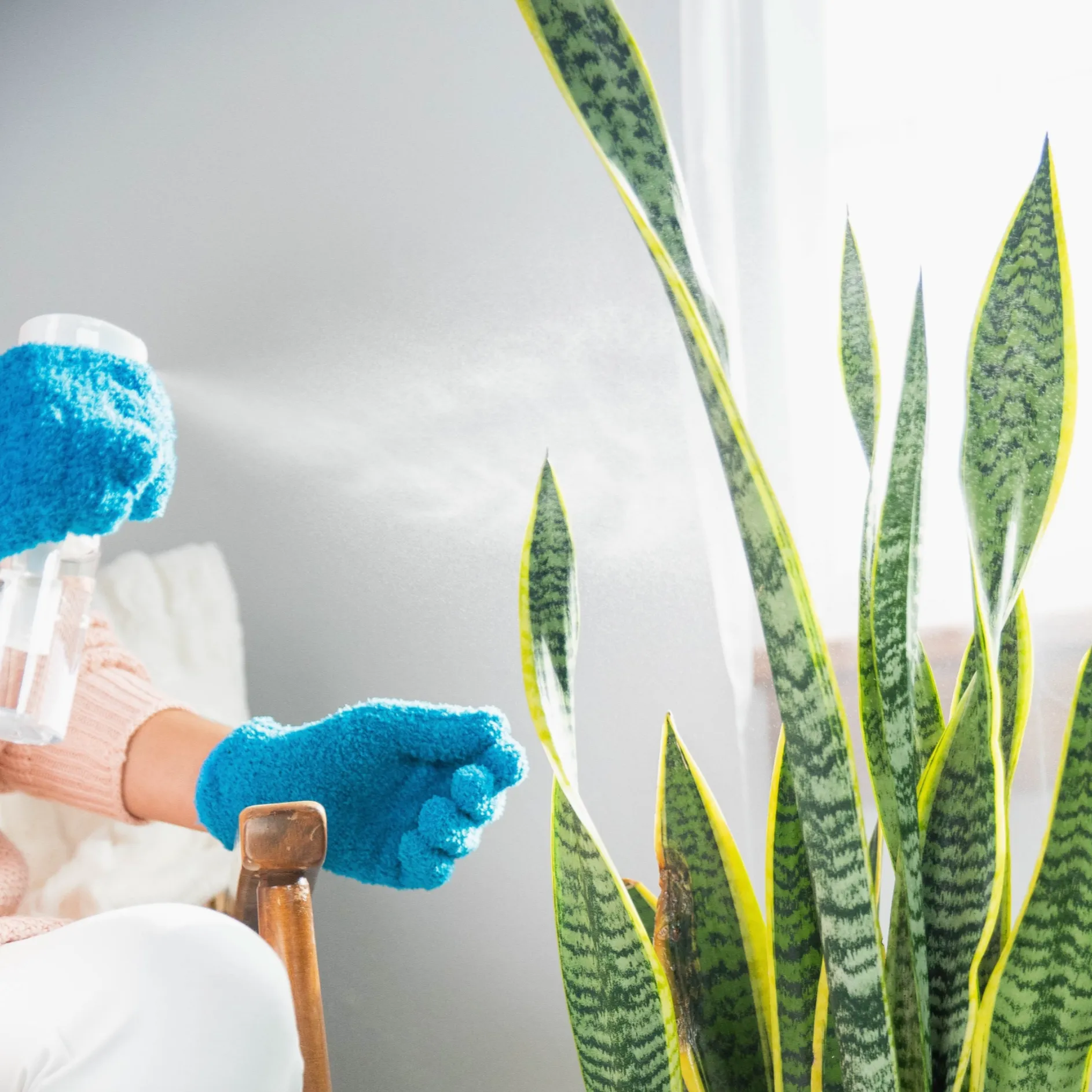 Microfiber Plant Cleaning Gloves